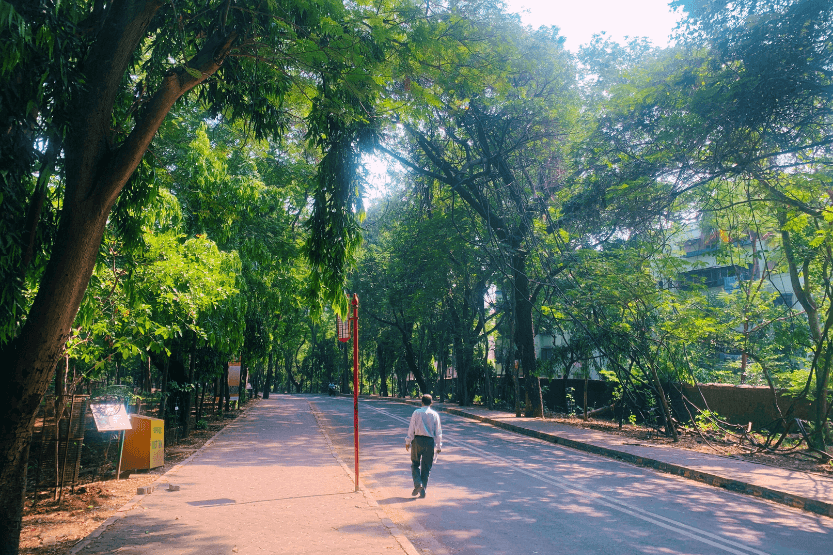 Sanjay Gandhi National Park: The Perfect Guide for Travelers - From ...